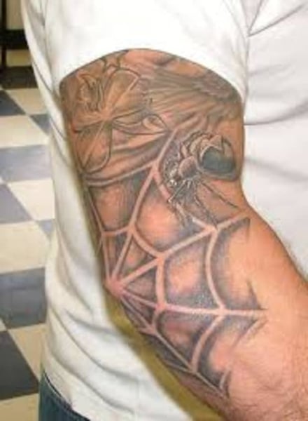 Cobweb